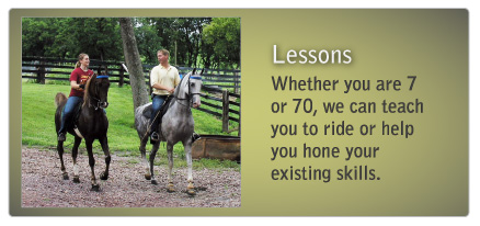 Horse Riding Lessons